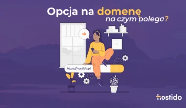 Ilustracja: opcja na domenę – na czym polega? z ikoną wyszukiwania i adresem hostido.pl