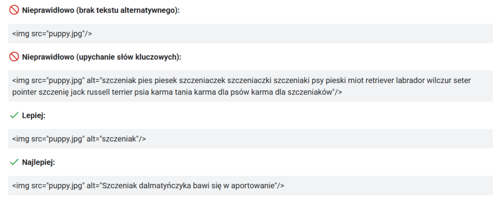 Szczeniak dalmatyńczyka bawi się w aportowanie